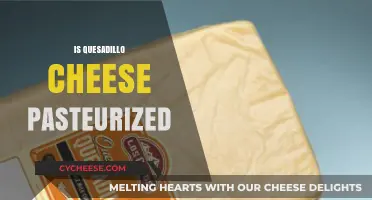 Is Quesadilla Cheese Pasteurized? A Guide to Safe Melty Goodness