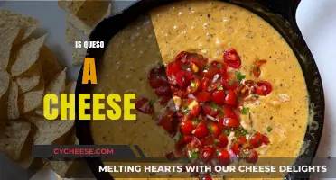 Is Queso Just Cheese? Unraveling the Melty Mystery