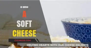 Is Queso a Soft Cheese? Exploring Its Texture and Uses