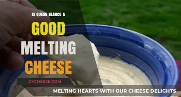 Queso Blanco: The Perfect Melting Cheese for Your Next Dish?