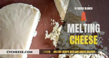 Best Ways to Melt Queso Blanco Cheese