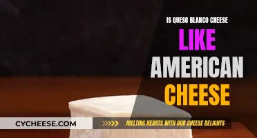 Queso Blanco: American Cheese's Tangy Cousin?
