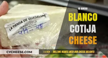 Queso Blanco vs. Cotija Cheese: Unraveling the Differences and Similarities