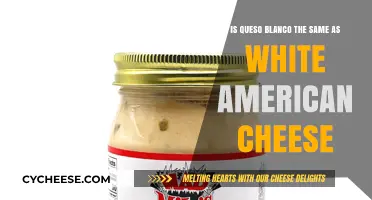 Queso Blanco vs. White American Cheese: Unraveling the Dairy Mystery