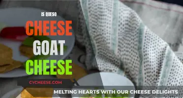 Queso: Is It Goat Cheese or Something Else?