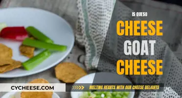 Queso and Goat Cheese: What's the Difference?