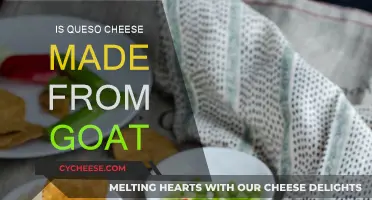 Is Goat's Milk Cheesy? Exploring Queso's Origins