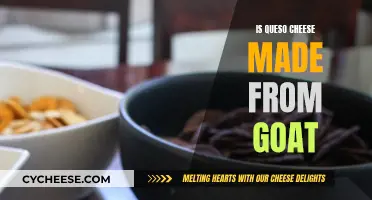 Goat Cheese Queso: Authentic or Not?