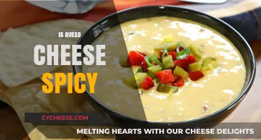 Is Queso Cheese Spicy? Exploring the Heat in This Cheesy Dip