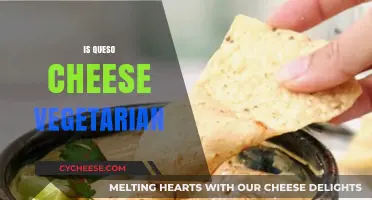 Is Queso Cheese Vegetarian? Unraveling the Dairy Dilemma for Veggies