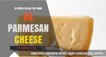 Queso Cotija vs Parmesan Cheese: What's the Difference?
