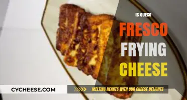Can You Fry Queso Fresco? Exploring Its Melting and Cooking Potential