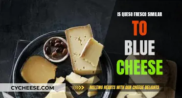 Queso Fresco and Blue Cheese: Similar or Different?