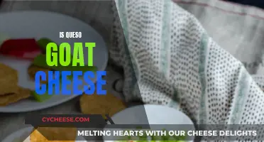 Queso's Surprising Origin: Is It Goat Cheese?