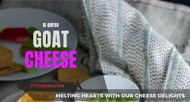 Goat Cheese Queso: What's the Difference?