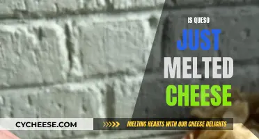 Queso: More Than Just Melted Cheese
