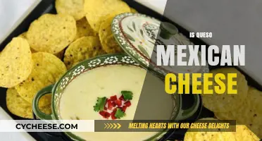 Is Queso Mexican Cheese? Unraveling the Cheesy Cultural Mystery