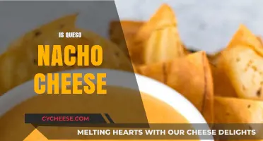 Is Queso Nacho Cheese? Unraveling the Cheesy Confusion