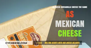 Queso Quesadilla vs. Mexican Cheese: Unraveling the Melty Mystery
