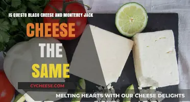 Questo Blanco vs. Monterey Jack: Are These Cheeses Identical?