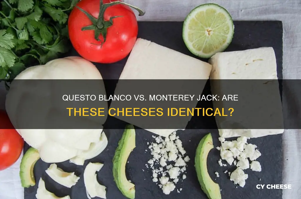 is questo blaco cheese and monterey jack cheese the same