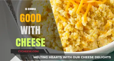 Quinoa and Cheese: A Perfect Pairing or Culinary Clash?