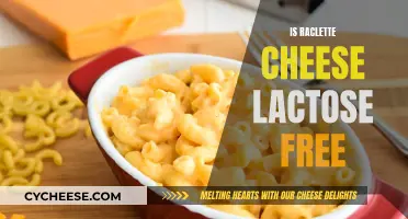 Lactose Intolerant and Raclette: Can You Eat It?
