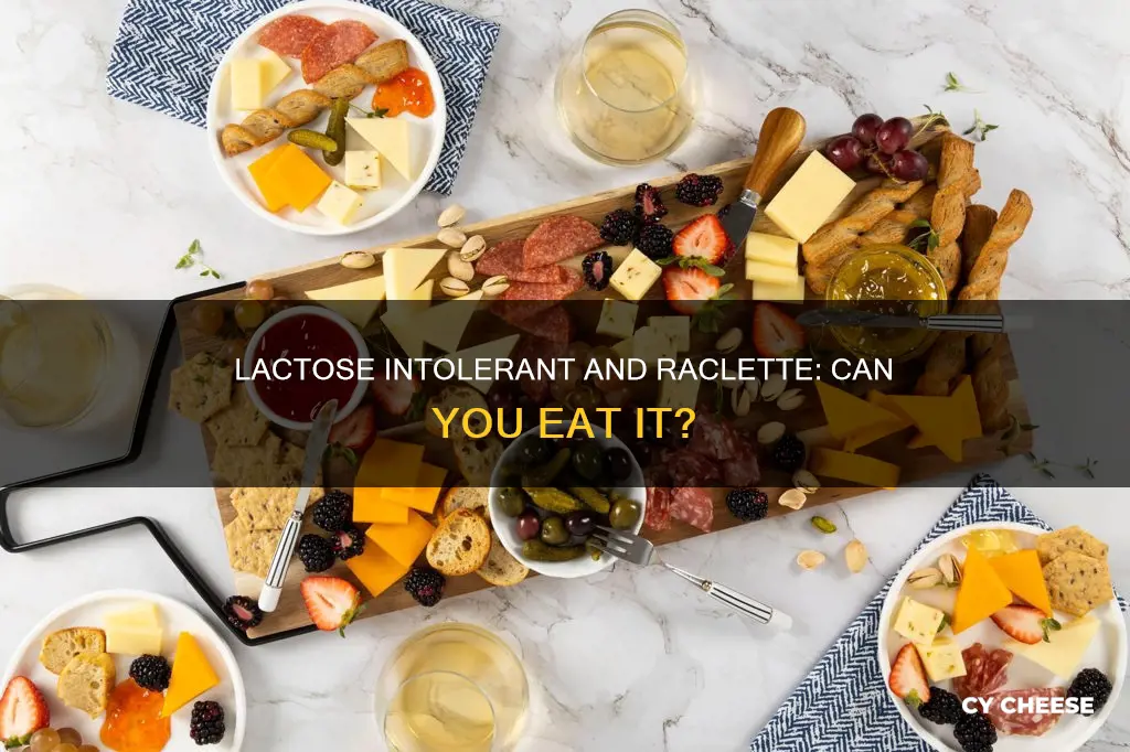 is raclette cheese lactose free