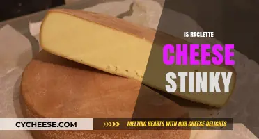 Is Raclette Cheese Stinky? Unveiling the Truth About Its Aroma