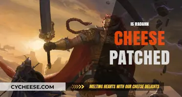 Is Radahn Cheese Patched? Exploring the Latest Updates and Fixes