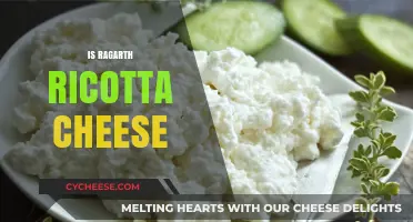 Is Ragarth Ricotta Cheese? Unraveling the Mystery of This Dairy Delight