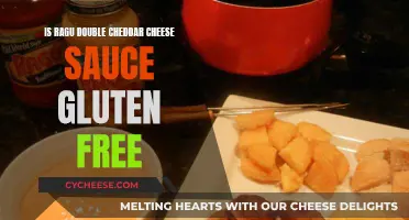 Ragu Double Cheddar: Gluten-Free Cheese Sauce or Not?