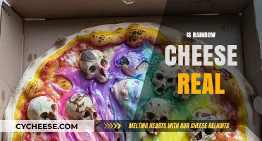 Unveiling the Myth: Is Rainbow Cheese a Real Dairy Delight?