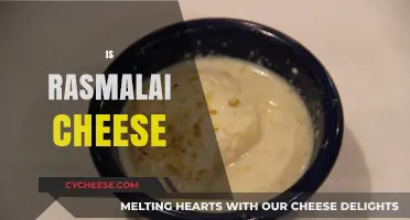 Is Rasmalai Cheese? Unraveling the Sweet Mystery of This Dessert