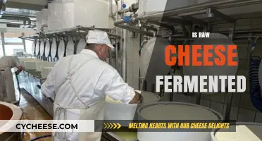 Is Raw Cheese Fermented? Uncovering the Truth Behind the Process
