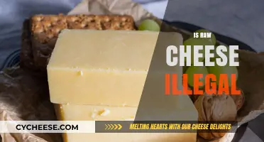 Is Raw Cheese Illegal? Unraveling the Legalities of Unpasteurized Dairy