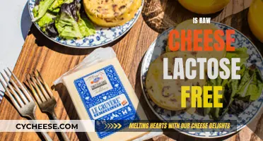 Raw Cheese: Lactose-Free Superfood?