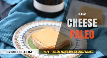 Is Raw Cheese Paleo? Uncovering the Primal Diet Truth