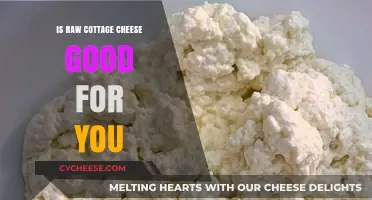 Raw Cottage Cheese Benefits: Nutrition, Health, and Wellness Insights