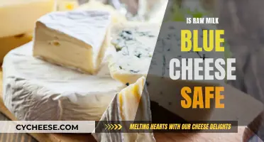 Raw Milk Blue Cheese: Is It Safe?