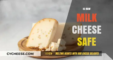 Is Raw Milk Cheese Safe? Uncovering Risks and Benefits