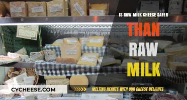 Raw Milk Cheese vs. Raw Milk: Which Is Safer to Consume?
