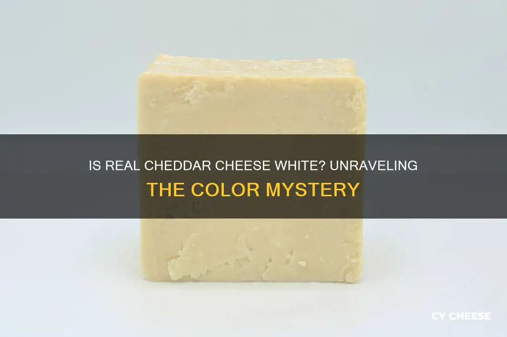 is real cheedar cheese white