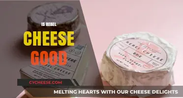 Is Rebel Cheese Worth the Hype? A Tasty Review