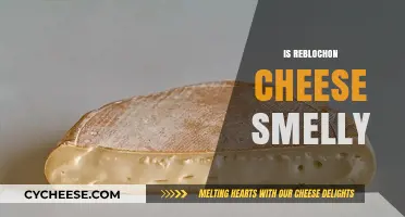 Is Reblochon Cheese Smelly? Unveiling the Truth About Its Aroma