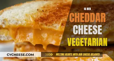 Red Cheddar's Vegetarian Journey: Unveiling the Dairy Dilemma