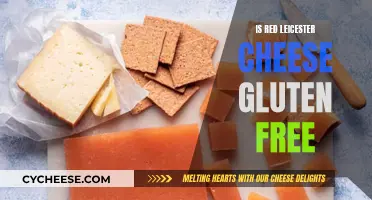 Gluten-Free Red Leicester: What You Need to Know