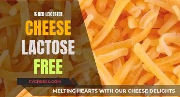 Red Leicester Cheese: Lactose-Free Option?