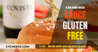 Gluten-Free Options: Red Robin Cheese Sauce