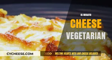 Is Regato Cheese Vegetarian? Exploring Ingredients and Production Methods